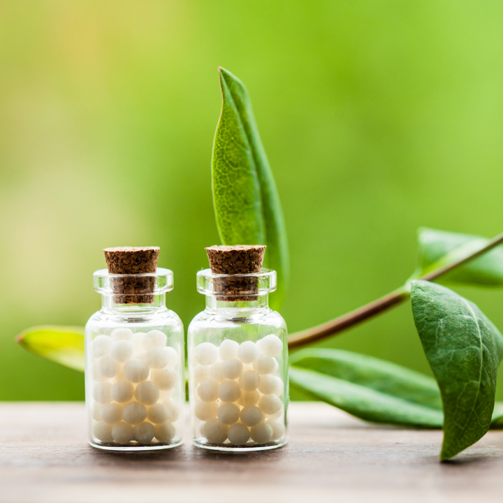 Homeopathic Must-Haves for Every Family: Your Essential Remedy Kit